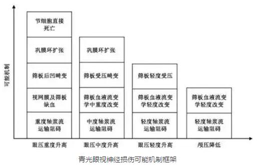 2016年在美国眼科学与视觉科学年会和世界青光眼大会上，与会者均就眼颅压力梯度问题进行了主题研讨，并且特别召开了“眼颅压力梯度相关疾病环球高峰论坛”，对眼颅压力梯度在青光眼领域可能产生的临床指导作用进行了讨论，专家们提出了建议并达成了部分共识。2.jpg
