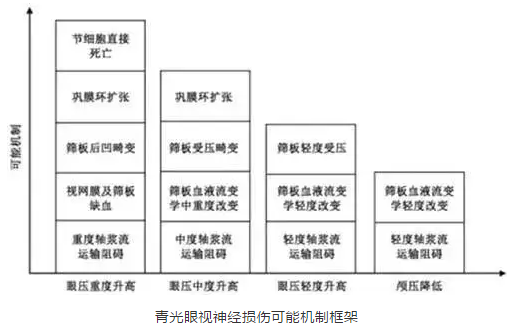 华厦眼科学术课堂：眼颅压力梯度在青光眼视神经损伤机制中作用2.png
