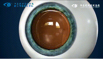 衡水同瑞眼科1.png