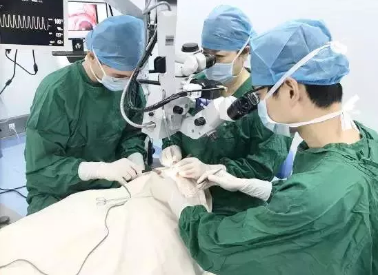 以初心致匠心——厦门眼科中心斜视与小儿眼科潘美华教授以匠心呵护患者的眼健康2.png